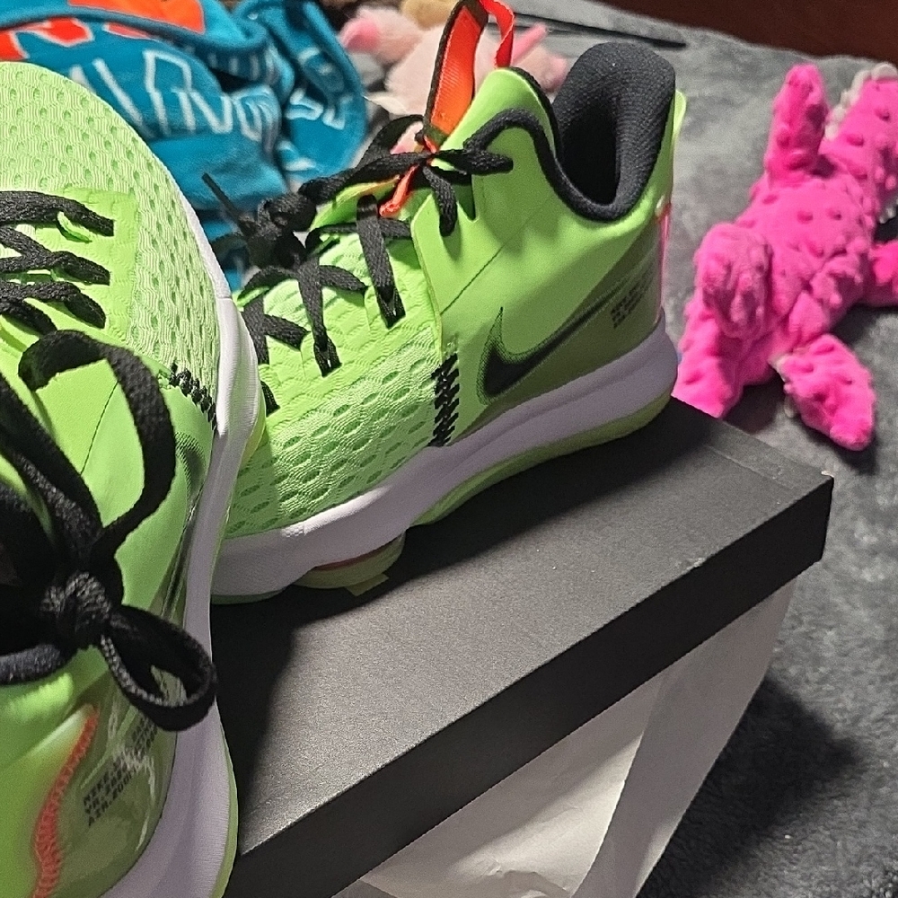 Lebrons Witness V